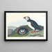 Macareux - John James Audubon — cuadro enmarcado en la pared