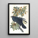 Corbeau - John James Audubon — cuadro enmarcado en la pared