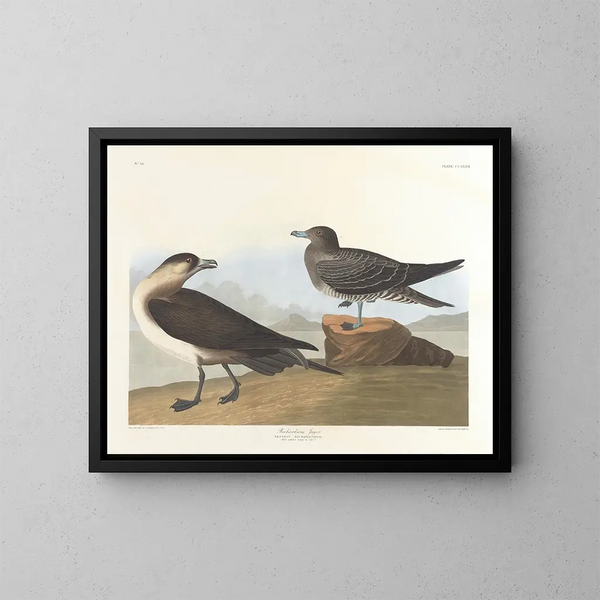 The Hunter by Richardson - John James Audubon — framed artwork on a wall