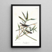 Moucherolle solitaire o viréo - John James Audubon — cuadro enmarcado en la pared