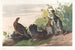 Titled: Spotted Grouse - John James Audubon — artwork view