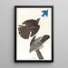 Faucon de Stanley - John James Audubon — cuadro enmarcado en la pared