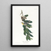 Parulina de garganta amarilla - John James Audubon — cuadro enmarcado en la pared