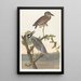 Crowned Heron Painting - John James Audubon — framed artwork on a wall