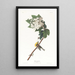 Viréo à gorge jaune - John James Audubon — framed artwork on a wall