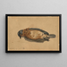 Pájaro muerto - John La Farge — cuadro enmarcado en la pared