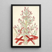 Collectanea botanica Pl01 - John Lindley — framed artwork on a wall