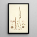 Collectanea botanica Pl05 - John Lindley — framed artwork on a wall