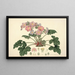 Collectanea botanica Pl07 - John Lindley — framed artwork on a wall