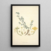 Collectanea botanica Pl10 - John Lindley — cuadro enmarcado en la pared