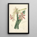 Collectanea botanica Pl12 - John Lindley — framed artwork on a wall