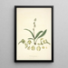 Collectanea botanica Pl20 - John Lindley — framed artwork on a wall