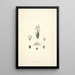 Collectanea botanica Pl24 - John Lindley — framed artwork on a wall