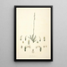Collectanea botanica Pl30 - John Lindley — cuadro enmarcado en la pared