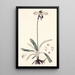 Collectanea botanica Pl32 - John Lindley — cuadro enmarcado en la pared