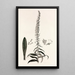 Collectanea botanica Pl35 - John Lindley — cuadro enmarcado en la pared