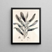 Collectanea botanica Pl. 38 - John Lindley — framed artwork on a wall