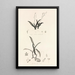 Collectanea botanica Pl39 - John Lindley — cuadro enmarcado en la pared
