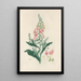 Digitalium monographia Pl03 - John Lindley — framed artwork on a wall