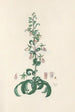 Digitalium monographia Pl05 - John Lindley — vista de la obra