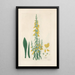Digitalium monographia Pl10 - John Lindley — framed artwork on a wall