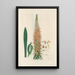 Digitalium monographia Pl12 - John Lindley — framed artwork on a wall