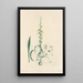 Digitalium monographia Pl16 - John Lindley — cuadro enmarcado en la pared