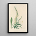 Digitalium monographia Pl22 - John Lindley — framed artwork on a wall