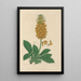 Digitalium monographia Pl28 - John Lindley — framed artwork on a wall