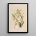Sertum orchidaceum Una corona de las flores de orquídea más bellas Pl07 - John Lindley — cuadro enmarcado en la pared