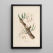 Sertum orchidaceum A crown of the most beautiful orchid flowers Pl11 - John Lindley — framed artwork on a wall