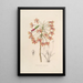 Sertum orchidaceum A crown of the most beautiful orchid flowers Pl13 - John Lindley — framed artwork on a wall