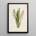 Sertum orchidaceum A crown of the most beautiful orchid flowers Pl42 - John Lindley — framed artwork on a wall