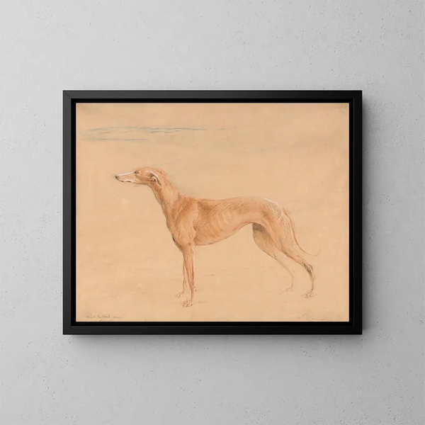 El perro de caza Thomasine - John Linnell — cuadro enmarcado en la pared