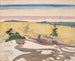 Petit Point Maine - John Marin — artwork view