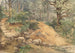 a wooded scene with a path crossing a stream - John Middleton — artwork view