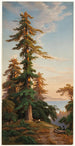 Sequoias Santa Cruz Mts Cal - John Ross Key — artwork view