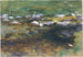 Arroyo y pradera - John Singer Sargent — vista de la obra