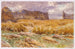 Champ Camouflé en France - John Singer Sargent — artwork view