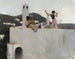 Girl of Capri on a Roof - John Singer Sargent — artwork view
