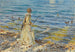 Girl fishing - John Singer Sargent — artwork view