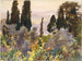 Pomegranate - John Singer Sargent — artwork view