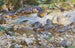 Río de montaña - John Singer Sargent — vista de la obra