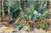 Palmiers - John Singer Sargent — vista de la obra