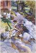 Arroyo impetuoso - John Singer Sargent — vista de la obra