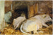 Three Oxen - John Singer Sargent — artwork view