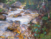 Trout Stream in Tyrol - John Singer Sargent — artwork view