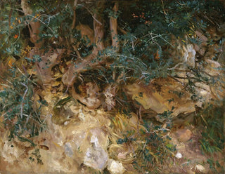 John Singer Sargent - ValdemosaMajorca  Thistles and Herbage on a Hillside.webp