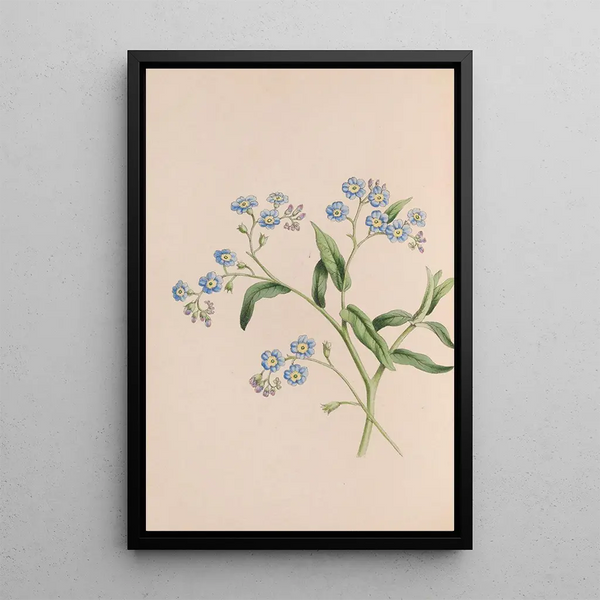 John Stevens Henslow - Grass.webp