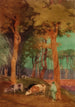 Brujas - John W. Cotton — vista de la obra